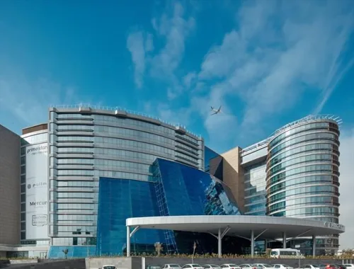 Pullman Istanbul Airport Hotel & Convention Center oteline ait görüntü