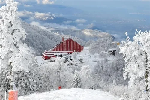 The Green Park Kartepe Resort & Spa oteline ait görüntü